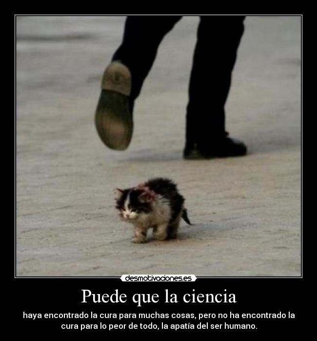 Puede que la ciencia -