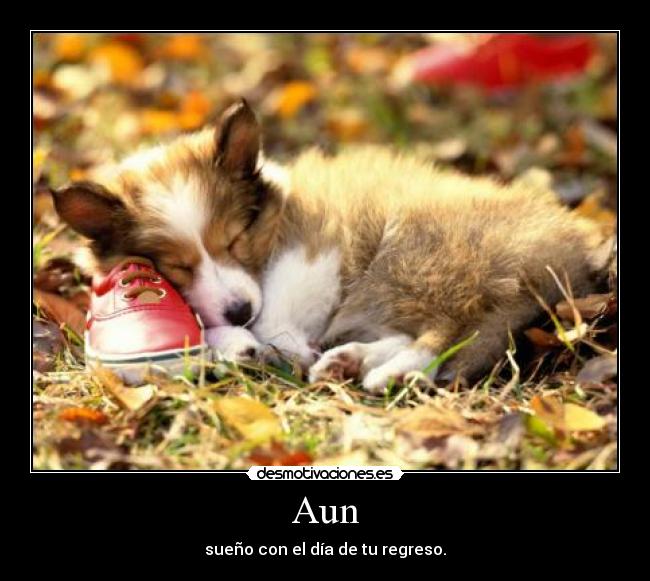 Aun - sueño con el día de tu regreso.