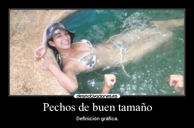Pechos de buen tamaño - 