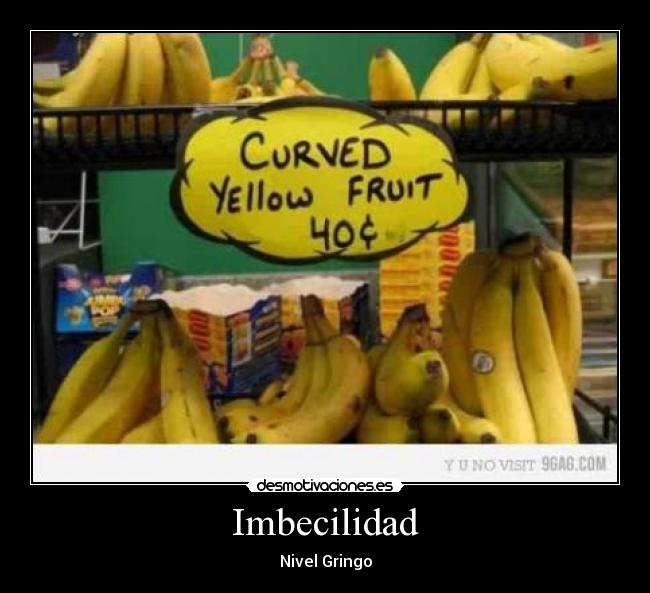 Imbecilidad - Nivel Gringo