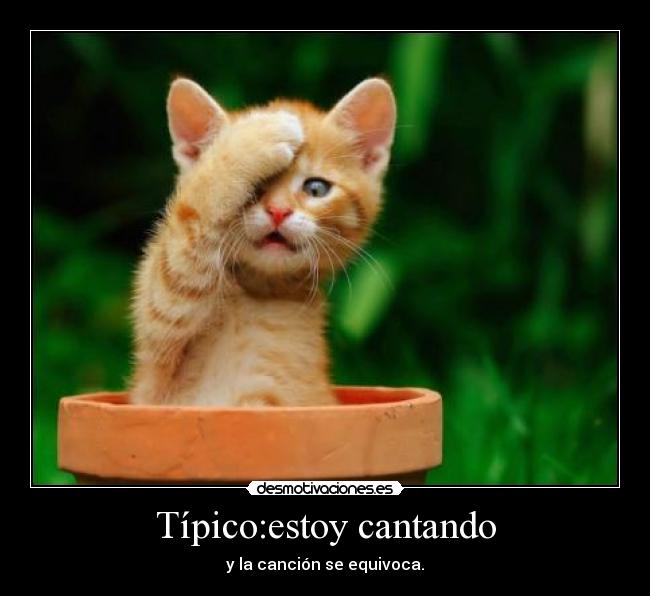 carteles tipicas cosas vida goytizolo desmotivaciones