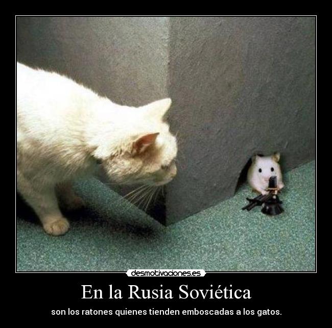 En la Rusia Soviética - son los ratones quienes tienden emboscadas a los gatos.