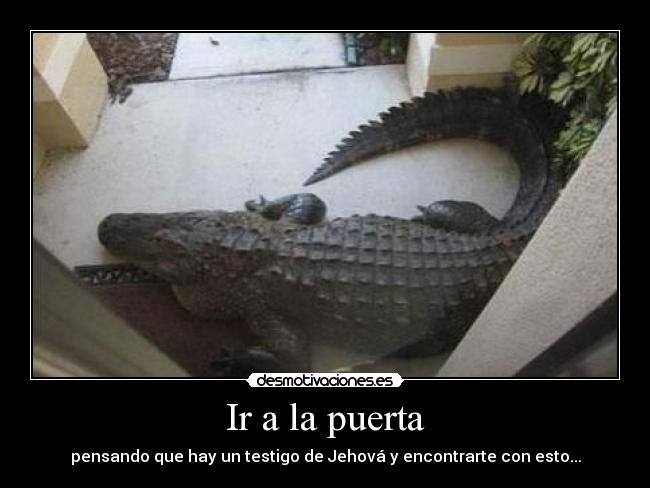 Ir a la puerta - pensando que hay un testigo de Jehová y encontrarte con esto...