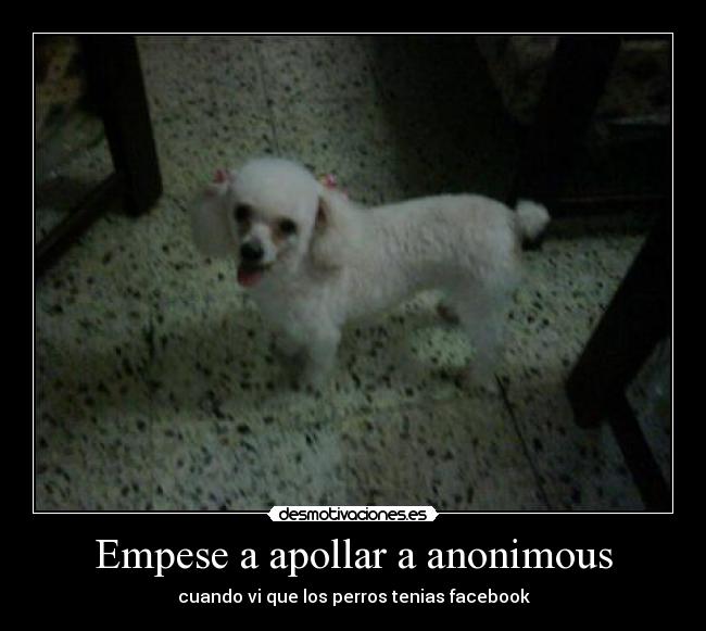 Empese a apollar a anonimous - cuando vi que los perros tenias facebook
