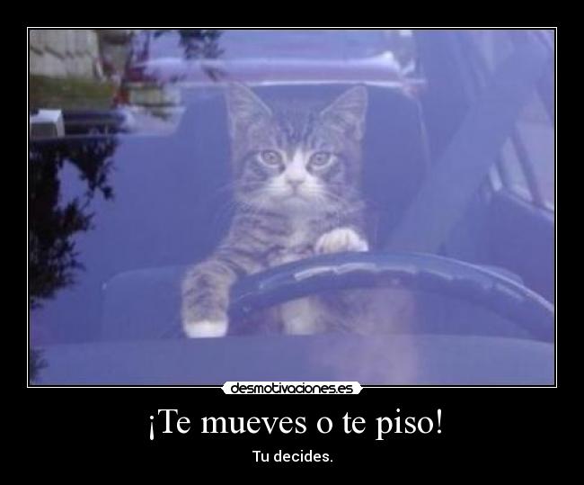 ¡Te mueves o te piso! -