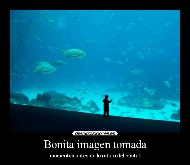 Bonita imagen tomada - momentos antes de la rotura del cristal.