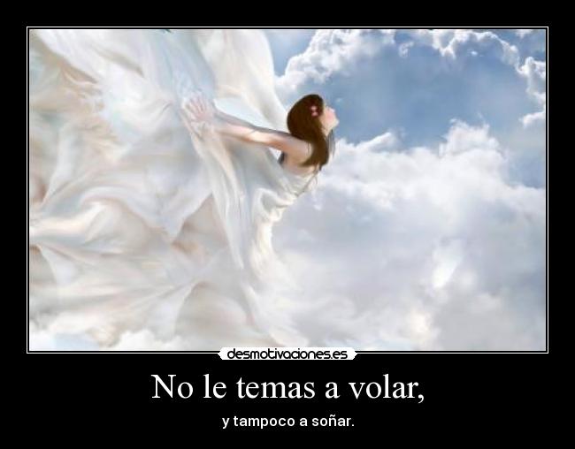 carteles sonar volar desmotivaciones