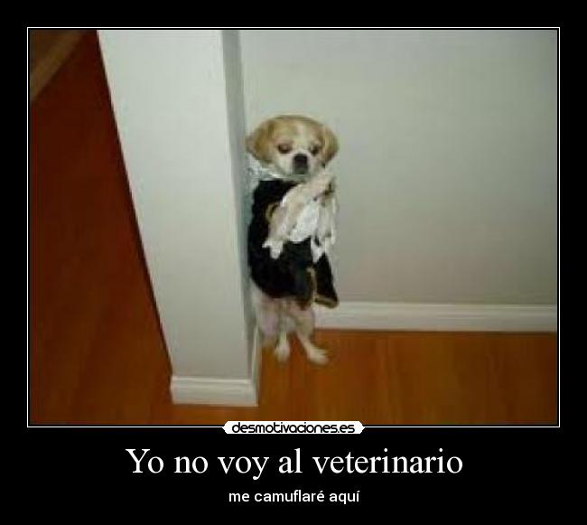 Yo no voy al veterinario - 