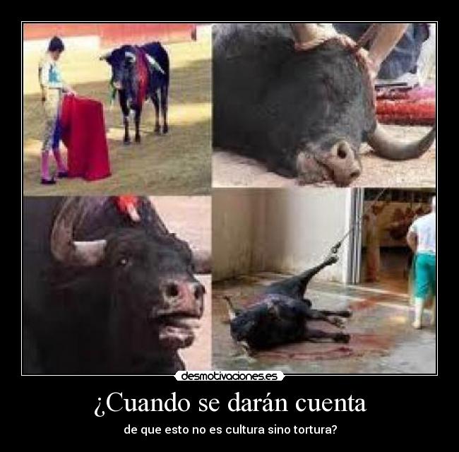 ¿Cuando se darán cuenta -