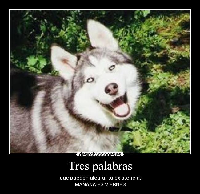 Tres palabras - que pueden alegrar tu existencia:
MAÑANA ES VIERNES