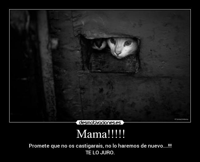 Mama!!!!! - Promete que no os castigarais, no lo haremos de nuevo....!!!
TE LO JURO.