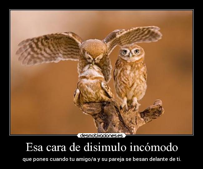 carteles besos amigos amor disimulo porque gana pedazo gilipollas desmotivaciones