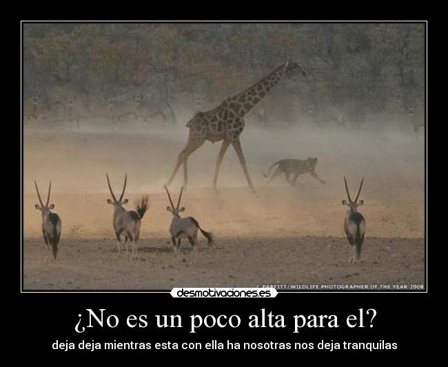 ¿No es un poco alta para el? - deja deja mientras esta con ella ha nosotras nos deja tranquilas