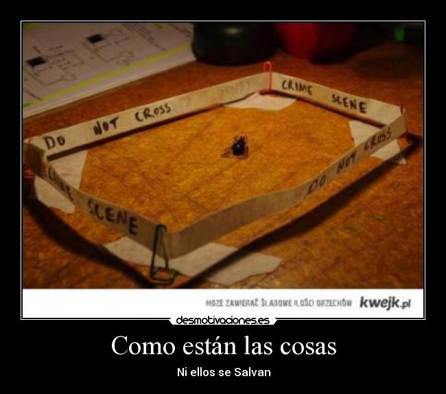 carteles ellos desmotivaciones