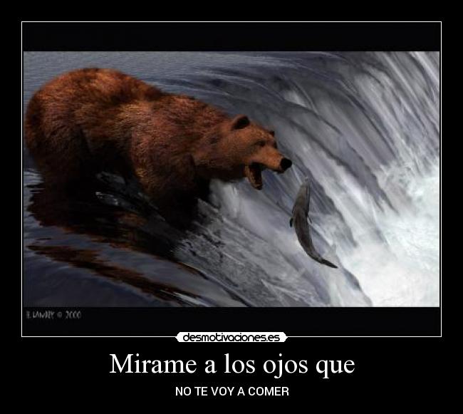 Mirame a los ojos que - NO TE VOY A COMER