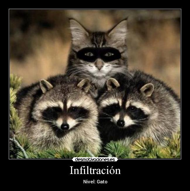 Infiltración -
