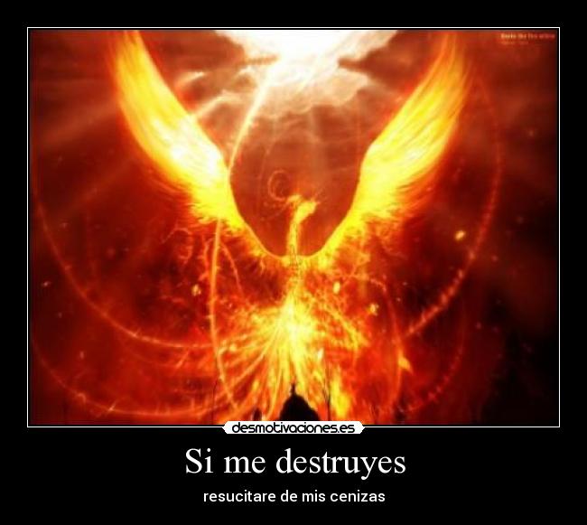 Si me destruyes - resucitare de mis cenizas