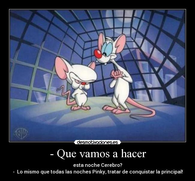 - Que vamos a hacer - 