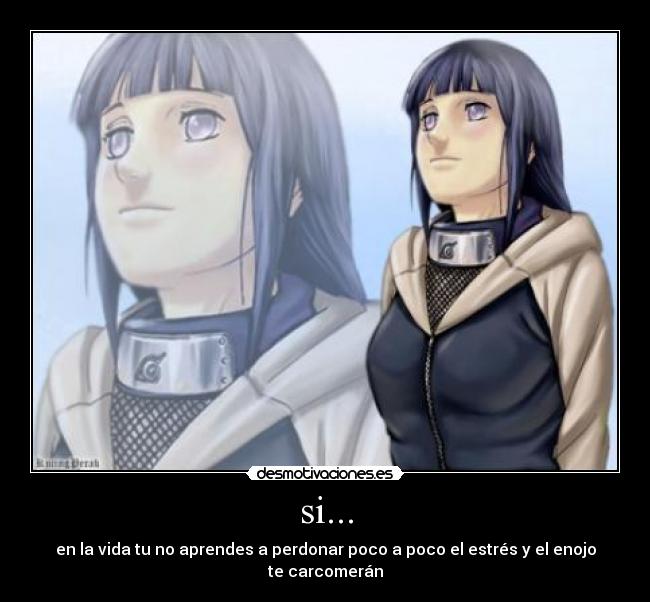 si... - en la vida tu no aprendes a perdonar poco a poco el estrés y el enojo te carcomerán