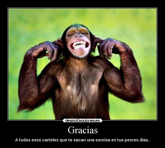 Gracias - A todos esos carteles que te sacan una sonrisa en tus peores dias..