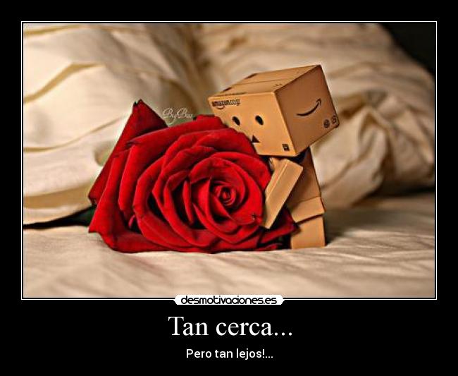carteles danbo desmotivaciones