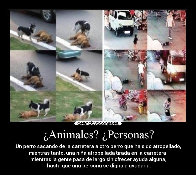 ¿Animales? ¿Personas? -