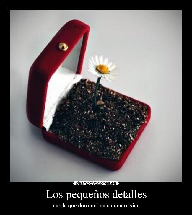 Los pequeños detalles - son lo que dan sentido a nuestra vida