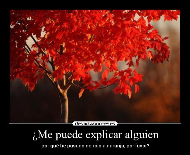 ¿Me puede explicar alguien - por qué he pasado de rojo a naranja, por favor?