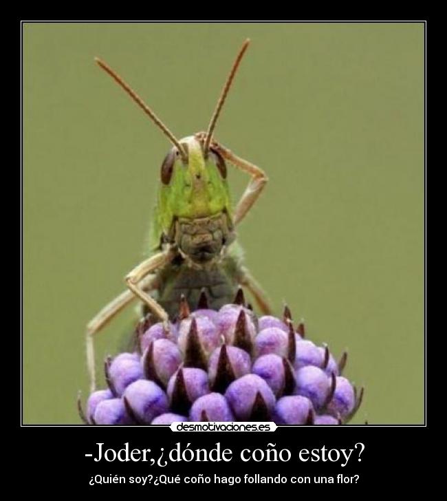 -Joder,¿dónde coño estoy? - 