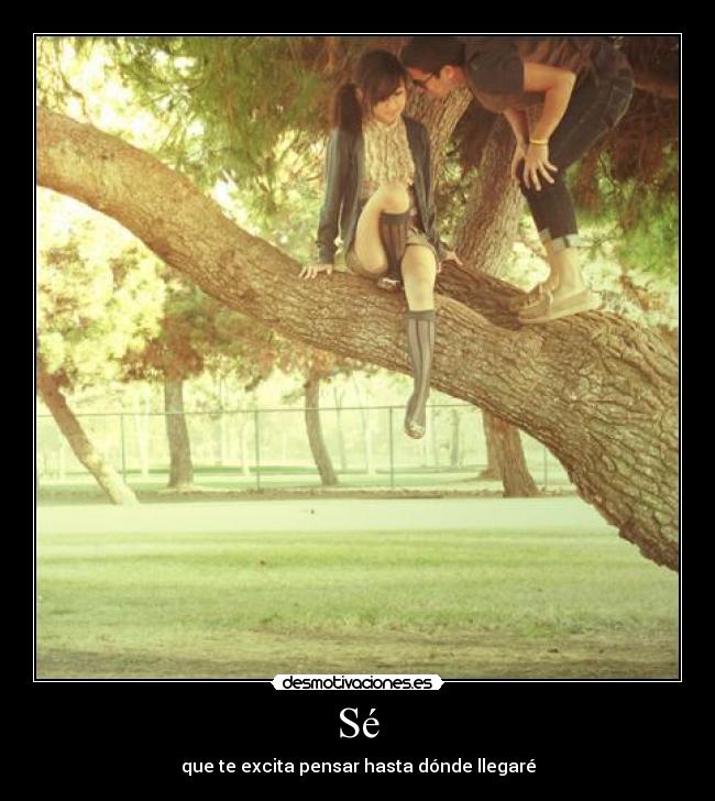 Sé - que te excita pensar hasta dónde llegaré