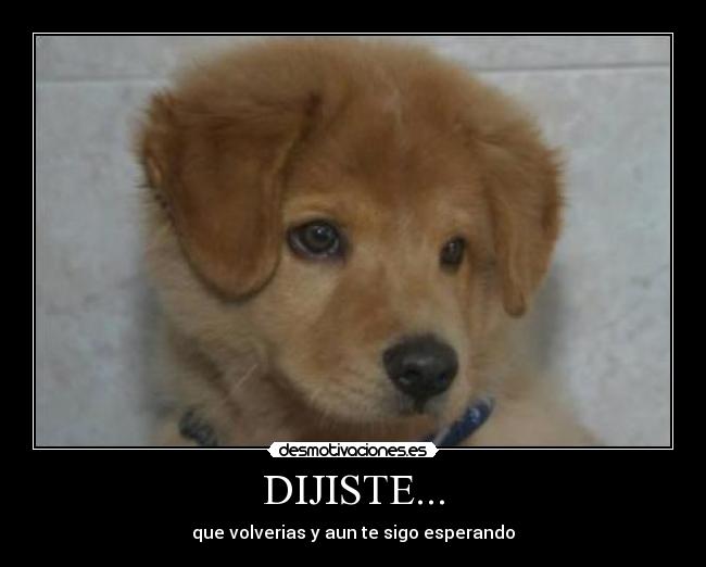 DIJISTE... -