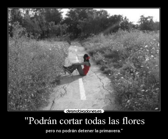 Podrán cortar todas las flores -