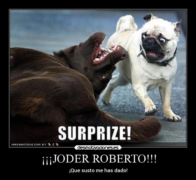 carteles sustos entre perros encantan los carlinos desmotivaciones