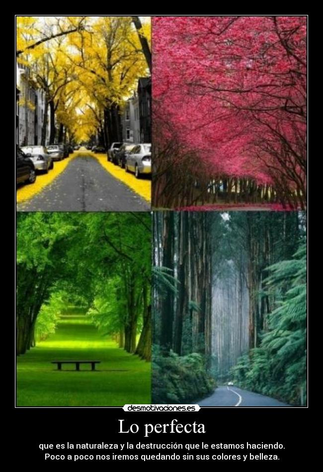 Lo perfecta - que es la naturaleza y la destrucción que le estamos haciendo.
Poco a poco nos iremos quedando sin sus colores y belleza.