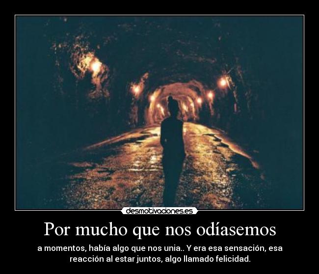 Por mucho que nos odíasemos -