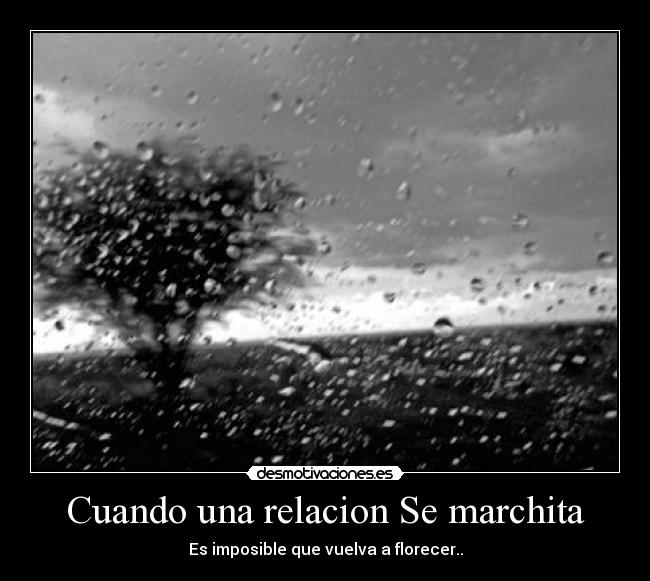 Cuando una relacion Se marchita - Es imposible que vuelva a florecer..