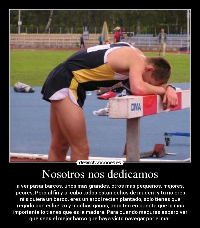 Nosotros nos dedicamos - a ver pasar barcos, unos mas grandes, otros mas pequeños, mejores,
peores. Pero al fin y al cabo todos estan echos de madera y tu no eres
ni siquiera un barco, eres un arbol recien plantado, solo tienes que
regarlo con esfuerzo y muchas ganas, pero ten en cuenta que lo mas
importante lo tienes que es la madera. Para cuando madures espero ver
que seas el mejor barco que haya visto navegar por el mar.