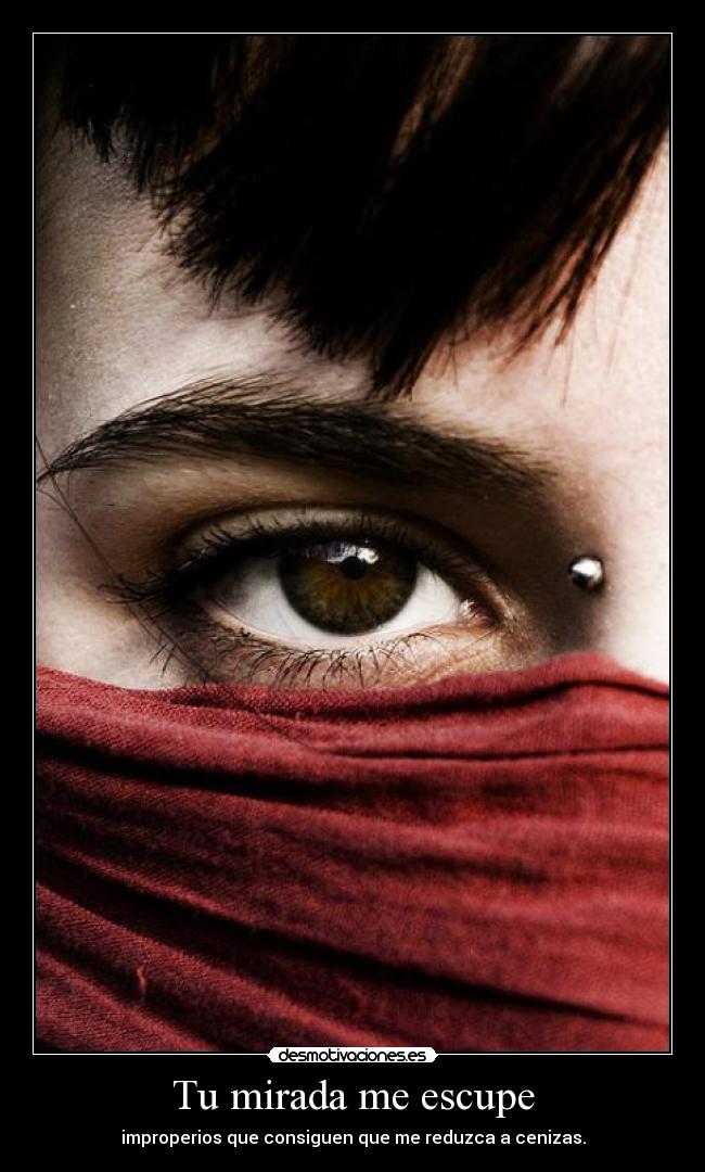 carteles rrfgrg desmotivaciones