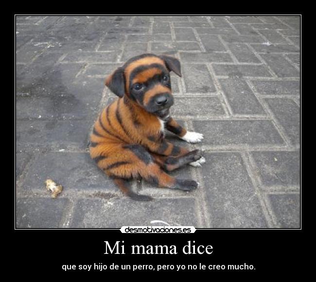 Mi mama dice - 