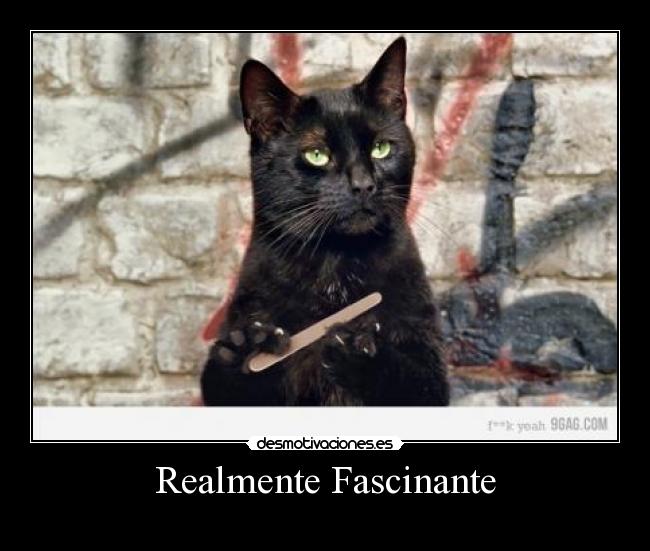 Realmente Fascinante - 