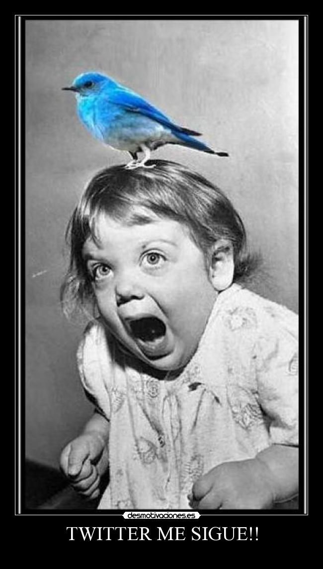 TWITTER ME SIGUE!! -