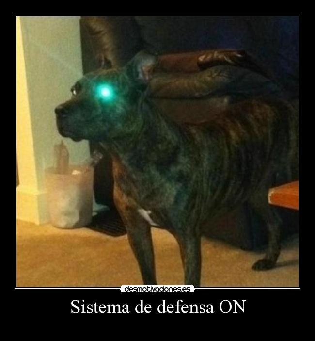 Sistema de defensa ON -