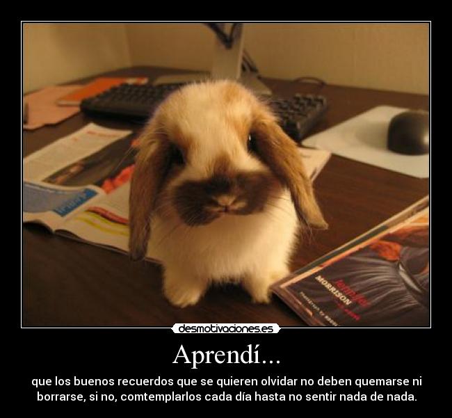 Aprendí... - que los buenos recuerdos que se quieren olvidar no deben quemarse ni
borrarse, si no, comtemplarlos cada día hasta no sentir nada de nada.