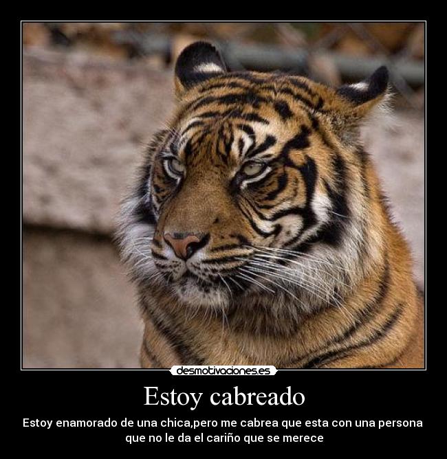 Estoy cabreado - Estoy enamorado de una chica,pero me cabrea que esta con una persona 
que no le da el cariño que se merece