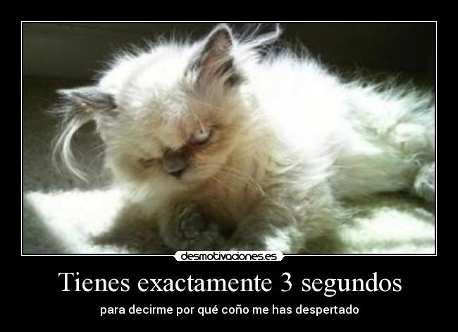 Tienes exactamente 3 segundos - para decirme por qué coño me has despertado