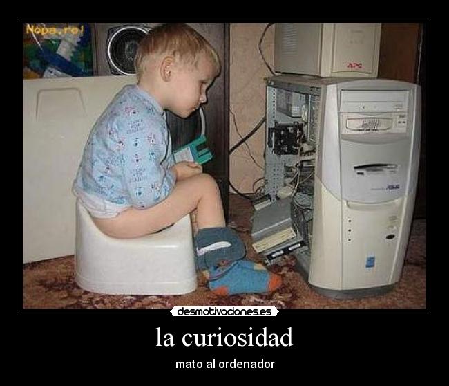 la curiosidad - 