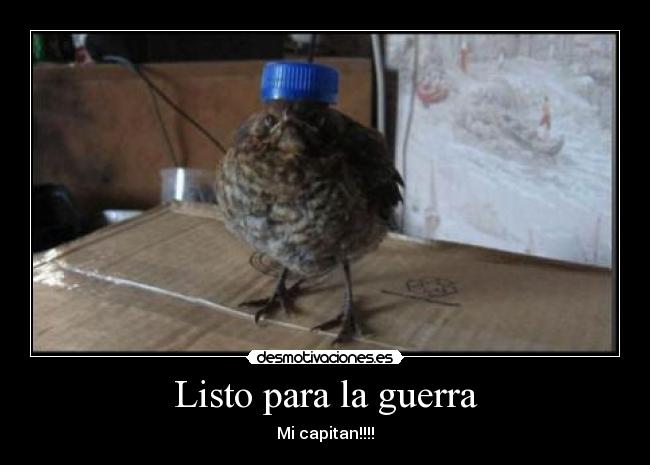 Listo para la guerra - Mi capitan!!!!