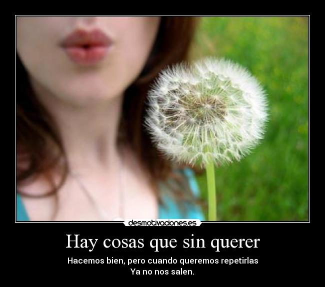 carteles hay cosas desmotivaciones