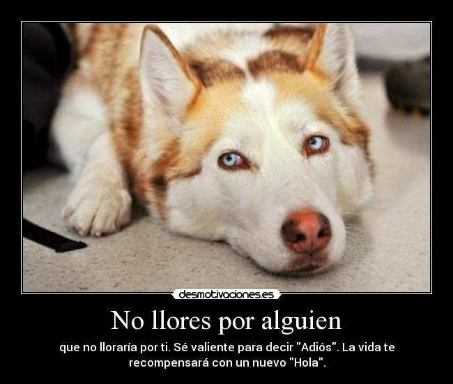 No llores por alguien - que no lloraría por ti. Sé valiente para decir Adiós. La vida te
recompensará con un nuevo Hola.