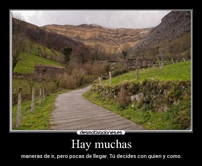 Hay muchas -
